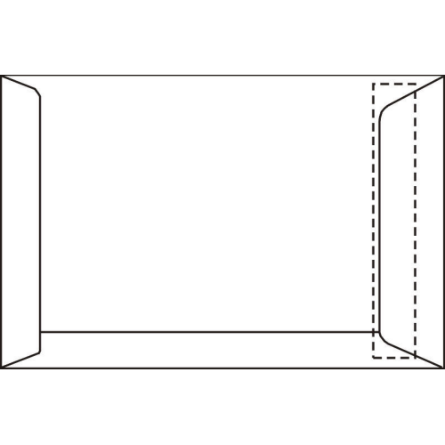 Kom langs om het te weten Geaccepteerd landheer EA 4 envelop 220 x 312 mm akte wit plakstrip